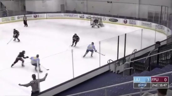 LIU Sharks Women's Hockey (Abby Latorella highlight reel goal)